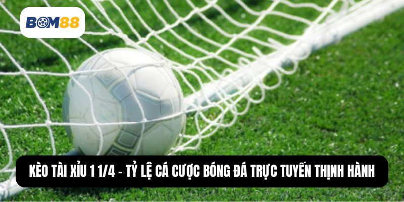 BOM88 Kèo Tài Xỉu 1 1/4 – Tỷ Lệ Cá Cược Trực Tuyến Được Ưa Chuộng Nhất